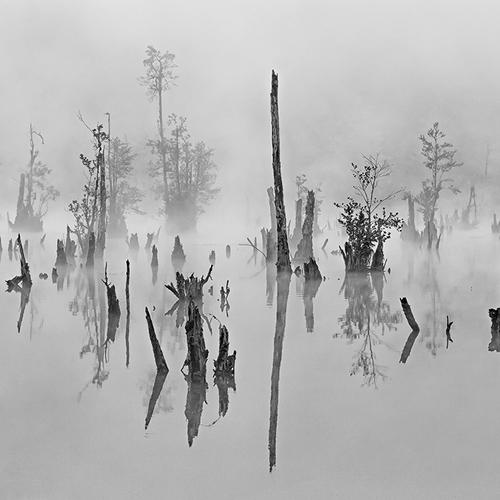 lake in the fog 2