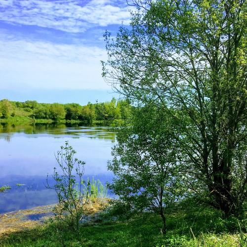 Photo #3243031