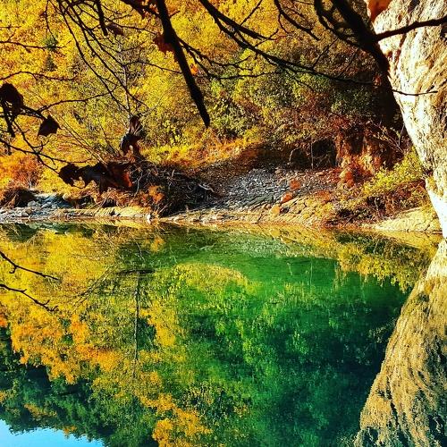 Photo #3243432
