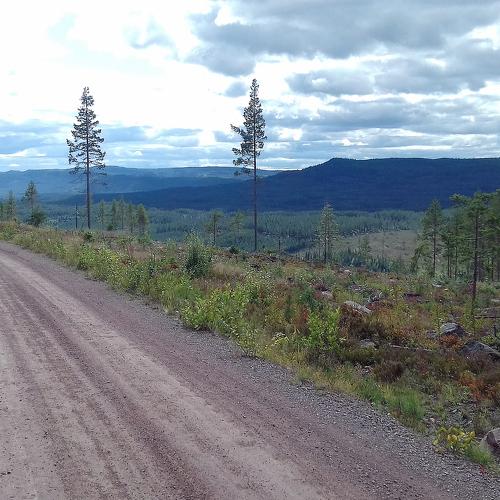 Sweden. The road to the north ...