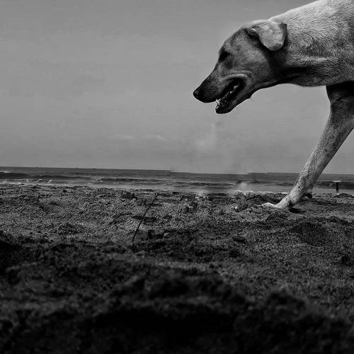Photo #3244410