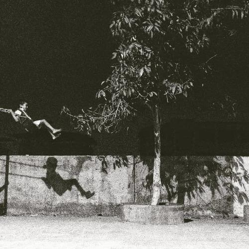 Photo #3244412