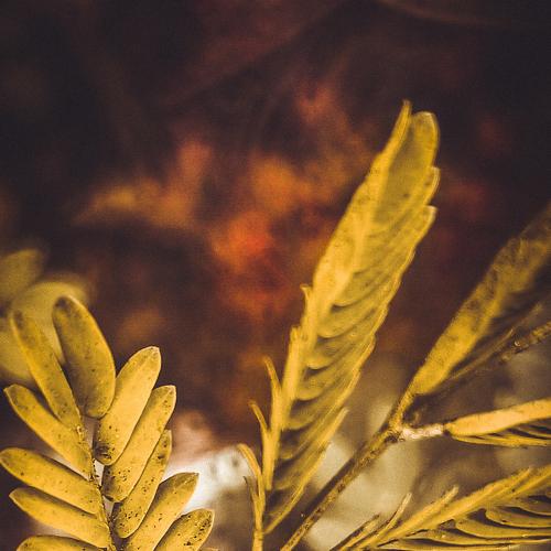 A fresh start
