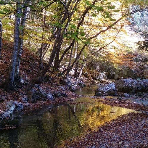 Октябрь в Большом каньоне Крыма