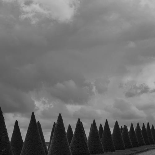 Conical Garden