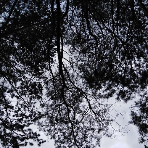 Photo #3246751