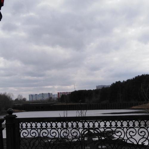 Photo #3246753