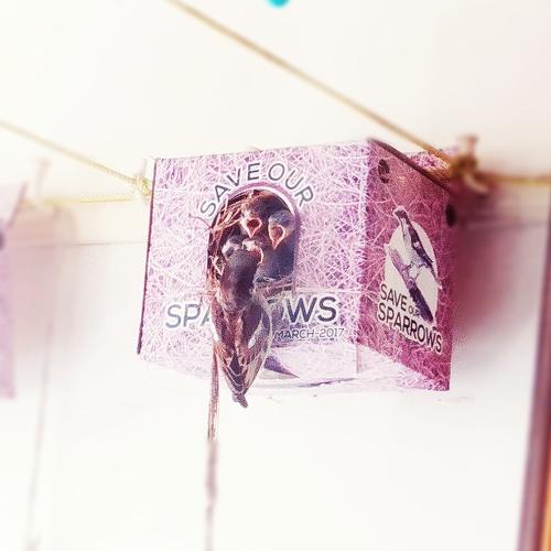 Save our sparrows