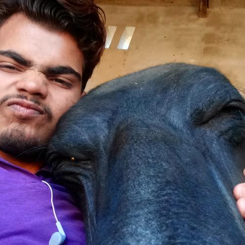 Me with a Buffalo