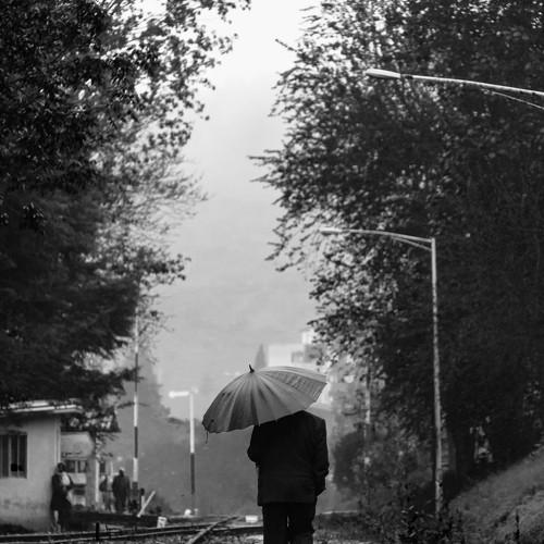 Photo #3248299