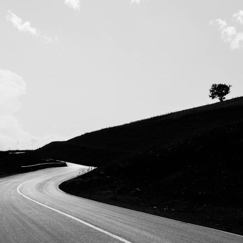 Photo #3248343
