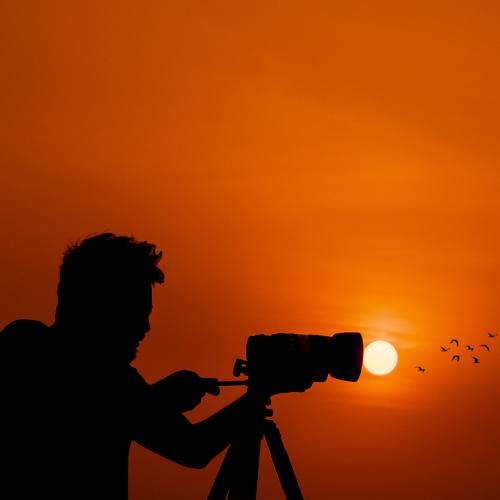 Beauty Of The Golden Light