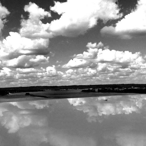 Photo #3250195