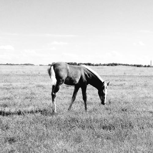 Photo #3250199