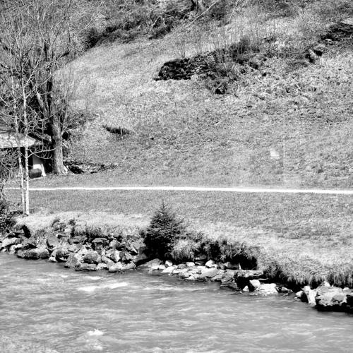The brook