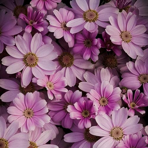 Photo #3250258