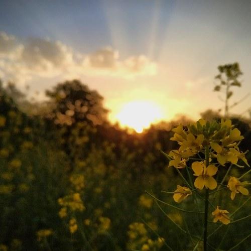 Photo #3250622
