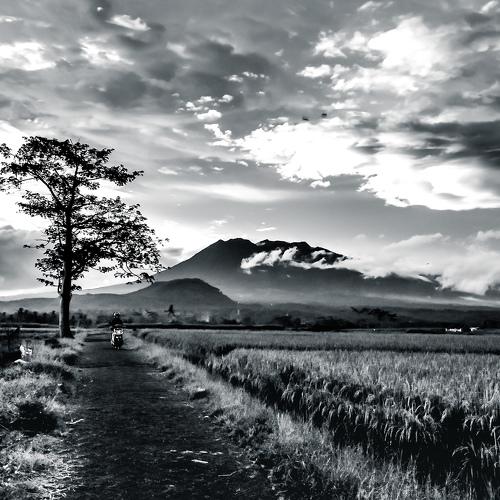 Dramatic landscape