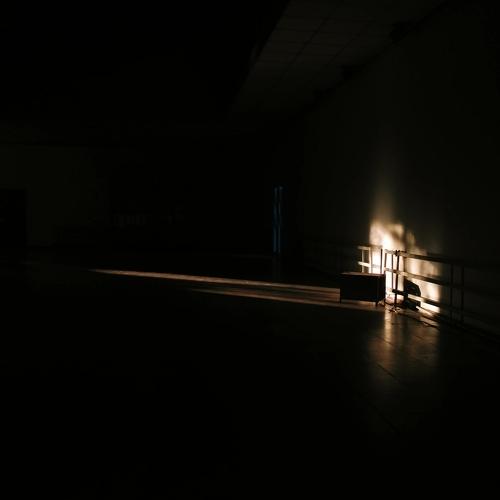 Shine