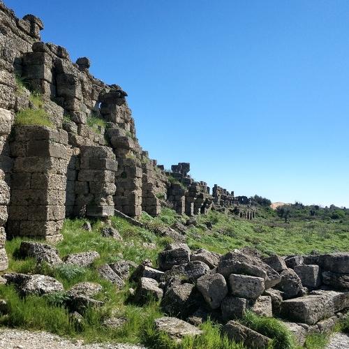 Photo #3251184