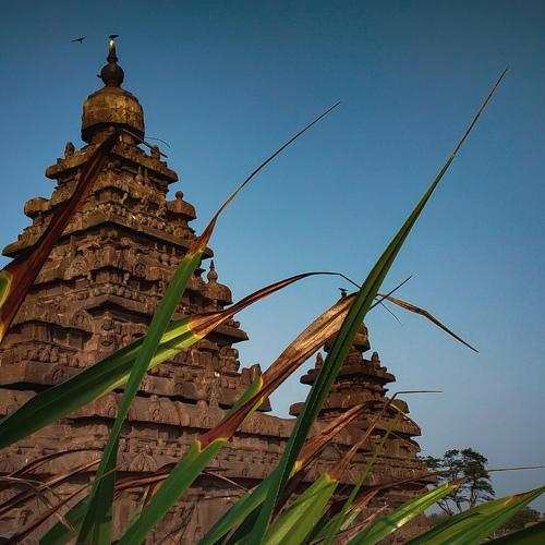Shore temple
