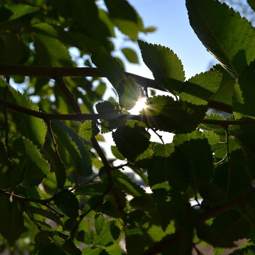 Photo #3252590