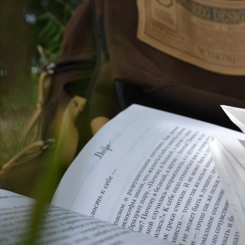 Photo #3252595