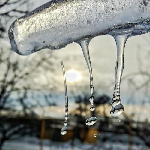 Photo #3253308