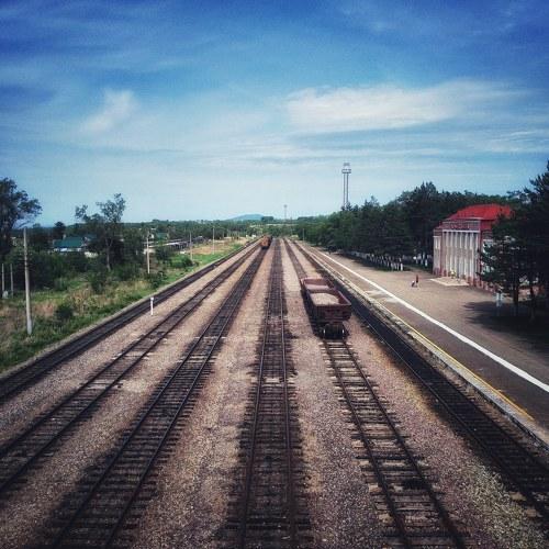 Дороги