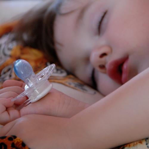 Photo #3255080