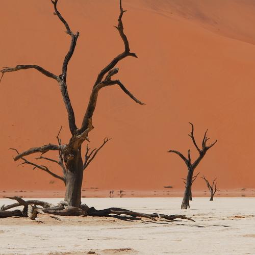 Namib Desert