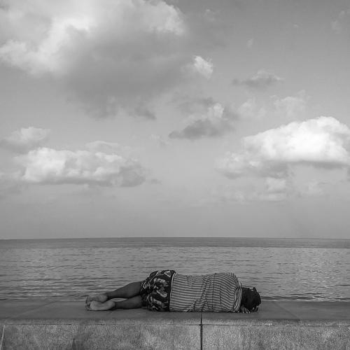 The Homeless