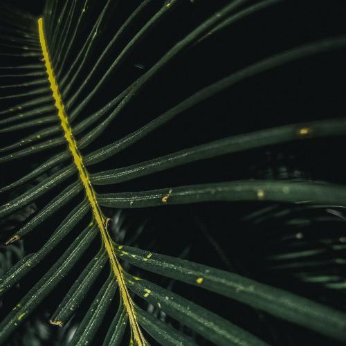 Flowing Greens