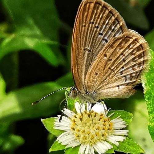 Photo #3255979