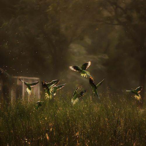 Photo #3256248