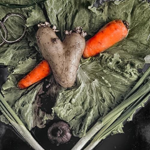 Photo #3256802