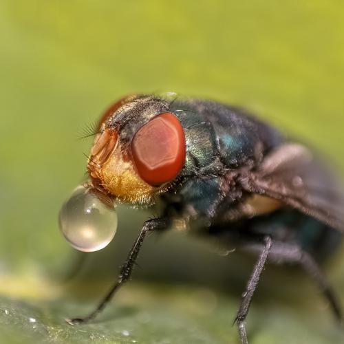 Playing On Bubble