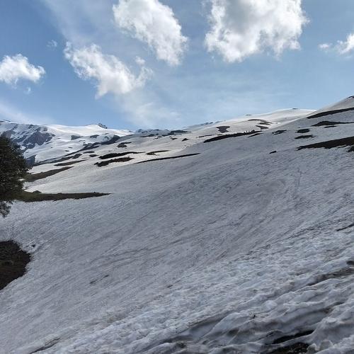 Snow Trek