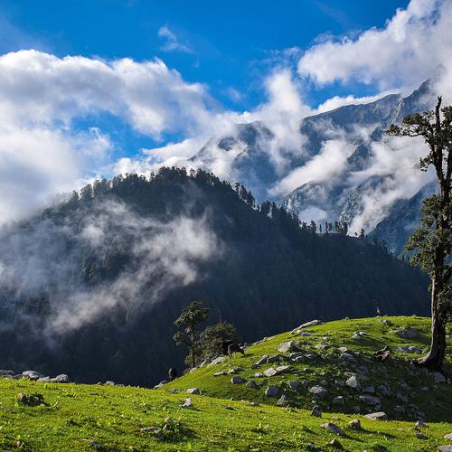 The Hills Of Snowline