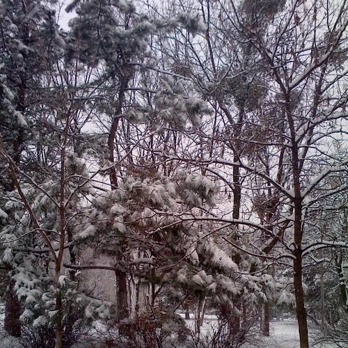 winter