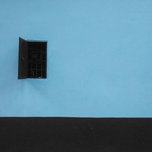 Black in Blue
