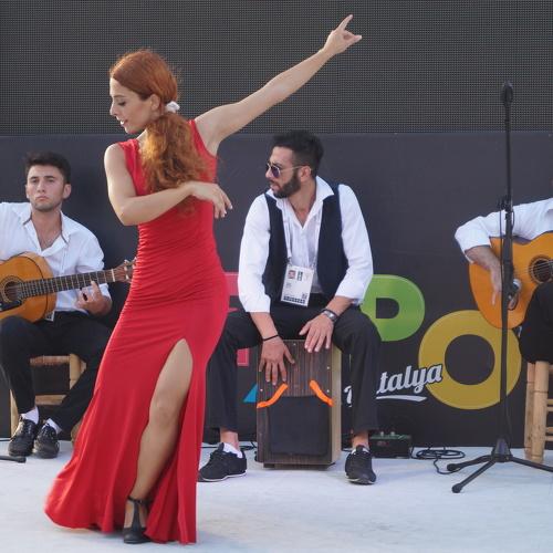 Photo #3259166