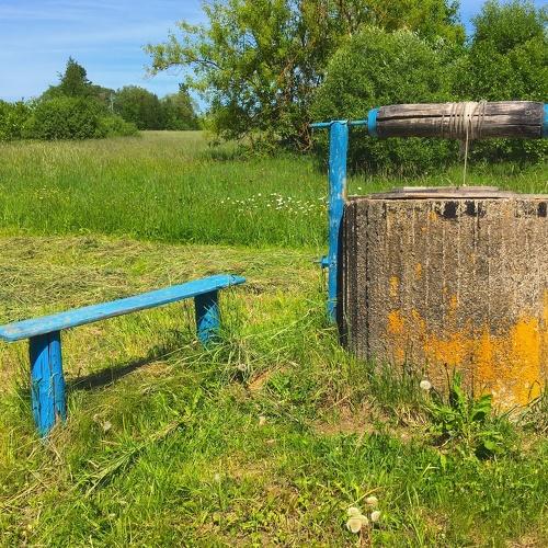 Photo #3259606