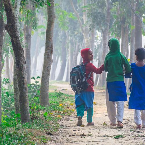 Road to Literacy