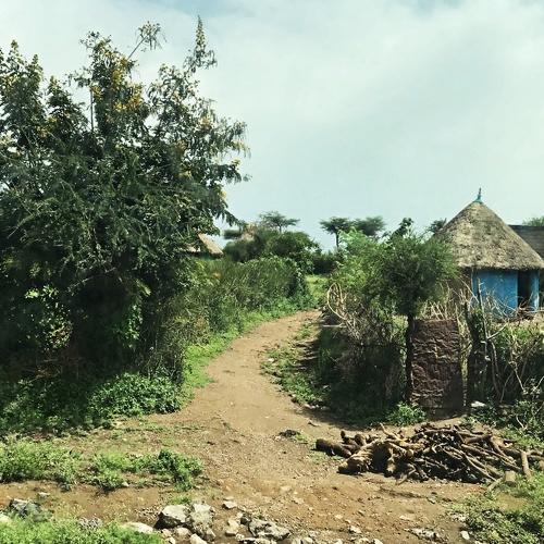 Somewhere in Ethiopia