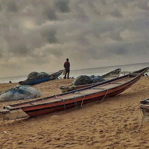 Photo #3260437
