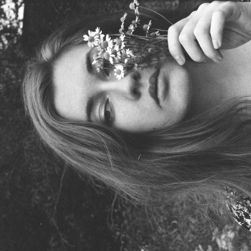 Photo #3261568