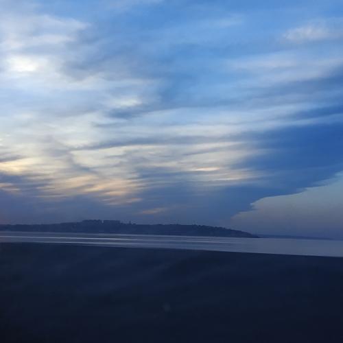 Куяльник