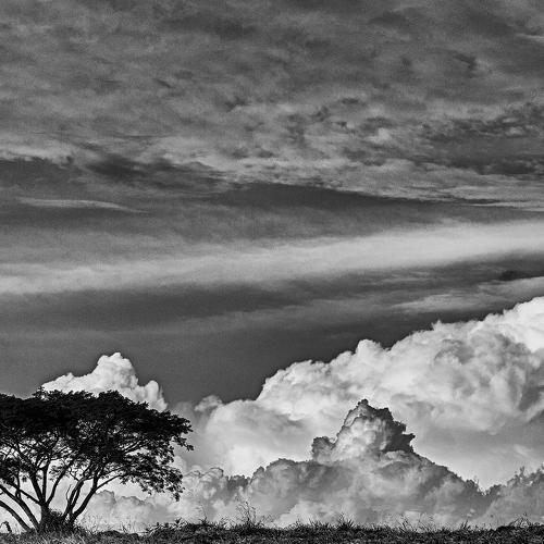 Grey skies