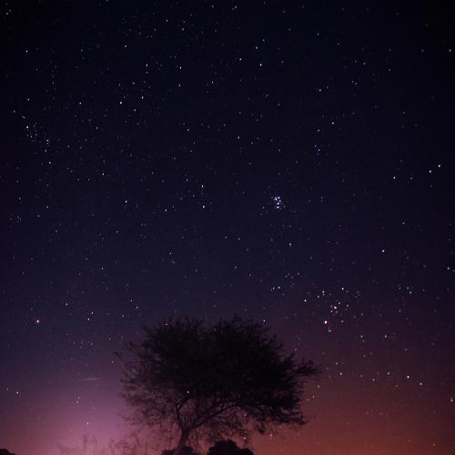 Night sky